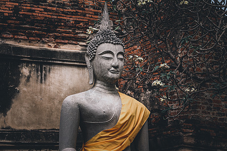 Ayutthaya历史公园的佛像弱光旅行宗教建筑学石材文化寺庙旅游胜地旅游地标图片