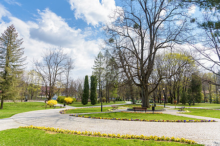 波兰维斯拉Kopczynski公园的景象图片