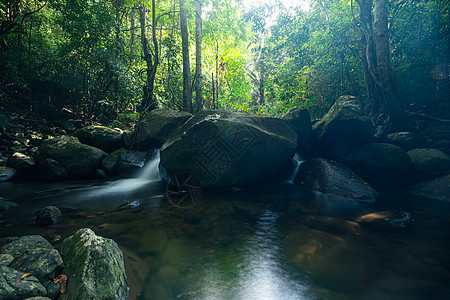 自然林景林瀑布植物瀑布公园爬坡绿色旅游吸引力环境流动旅行图片