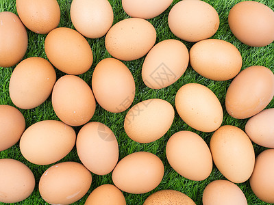 草底的新鲜鸡蛋产品草地母鸡花园绿色饮食场地农场庆典动物图片