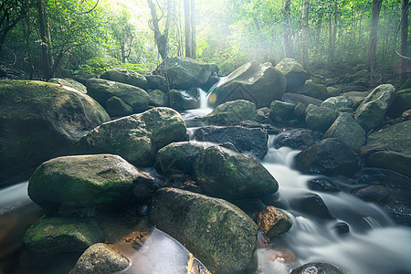 自然林景林瀑布旅行绿色植物石头丛林爬坡公园环境吸引力国家图片