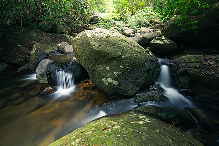 自然林景林瀑布吸引力石头旅行流动环境瀑布国家旅游溪流植物图片