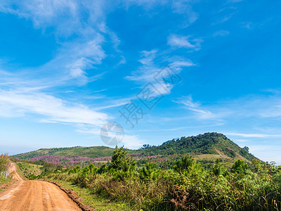 乡村道路 山地和蓝天空的美丽景观 旅行概念图片