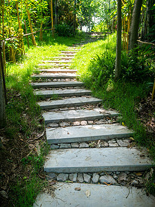 夏天公园里美丽的小路风景秀丽的 wi岩石植物园林土地草地途径人行道绿化花园路面图片