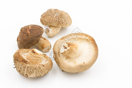 白色背景的芝麻蘑菇美食烹饪营养香料药品食物菌类草药团体蔬菜图片