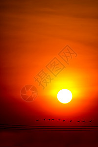 多彩的日落天空和太阳光 环绕四周 周而周而复始金属力量阳光射线团体移民翅膀荒野太阳鸟类图片