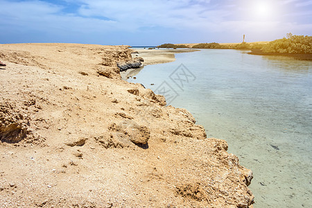 穆罕默德曼格罗夫海峡沙土埃及国家假期水道全景热带海洋野生动物海岸森林公园图片