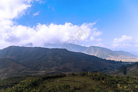 日落时山岳天空阳光森林土地日出季节天堂蓝色戏剧性薄雾背景图片