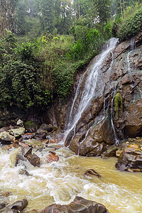 河流和水瀑布背景热带极乐全景远足爬坡天堂岩石风景土地丛林图片