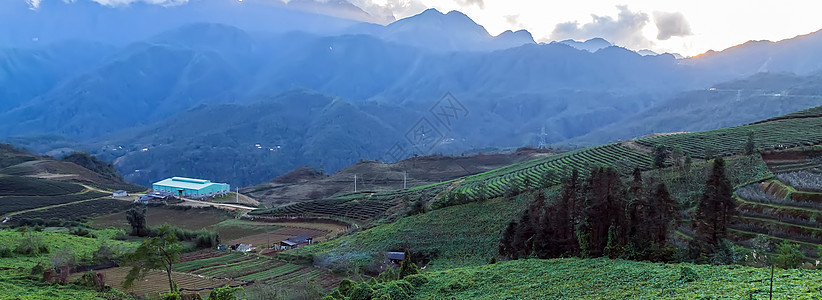 越南自然景观的山地水稻梯田图片