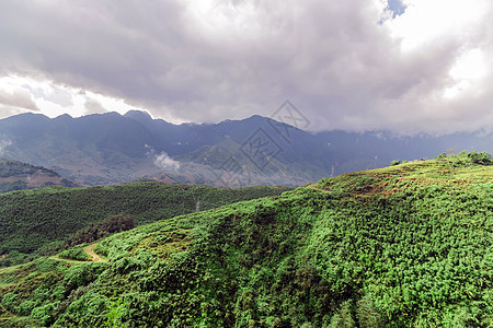 清晨雾中山林风景山峰木头高山天空山脉远足薄雾日出阴霾场景旅游图片