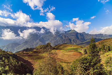 蓝天空山地景观森林旅行蓝色风景地平线日出场景岩石爬坡草地图片