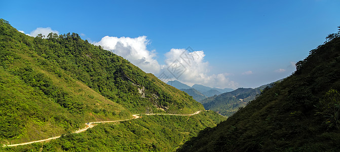 以树木和自然为特点 在农村的街道上行走图片