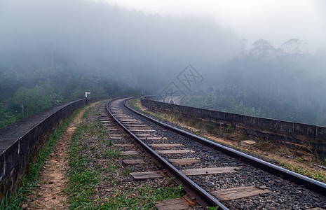 斯里兰卡Ella山雾中铁路林图片