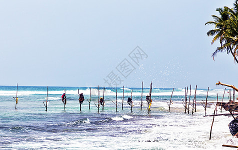 斯里兰卡印度洋的当地渔民 10月21日旅游旅行纺纱娱乐吸引力男人男性海岸线高跷热带图片