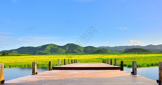 泰国阳光明媚的黄草田水山自然风景热带雨林 呈现出黄色草地 潮湿的气候土地海岸山脉海滩地平线海洋农村蓝天季节花园图片