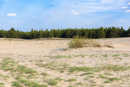 波兰南部布列多沙漠之景地标沙漠荒野旅行旅游天空波浪风景遗产波纹图片