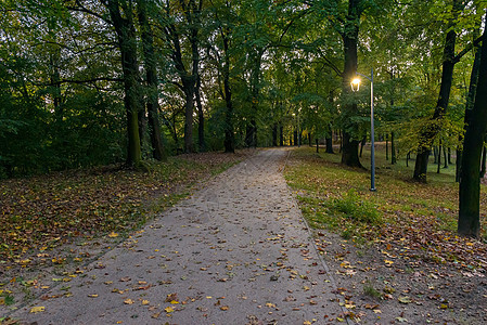 秋天公园小巷的埃维格景色胡同长椅景观城市花园路灯场景叶子照明季节图片