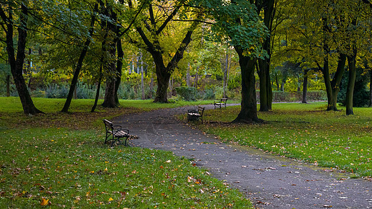 秋天公园小巷的埃维格景色阴影季节绿色城市花园景观黄色人行道风景长椅图片