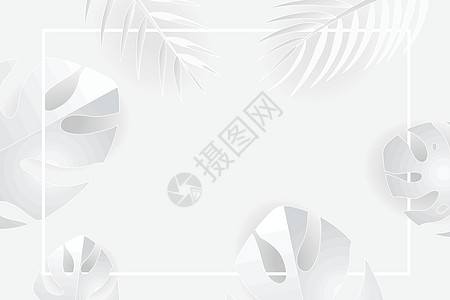 带框架的热带树叶 白色和灰色阴影夏季背景叶子棕榈色调概念插图艺术图片