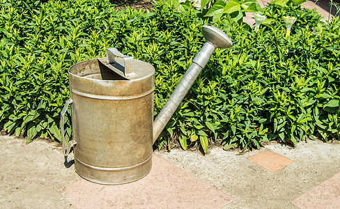 花园 户外的古老金属水罐 其背景是花卉花园 日间夏日日环境工作晴天草地生长爱好阳光院子装置植物学图片