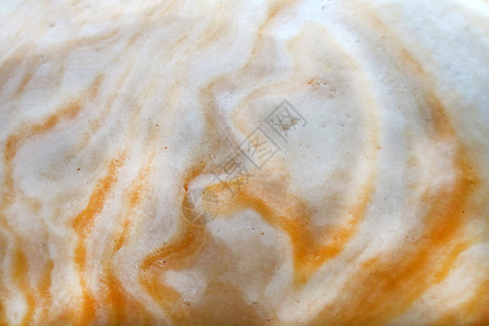 白色橙色古代大理石花岗岩石表面洞穴图片