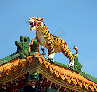 中国圣殿屋顶的老虎雕塑装饰图片
