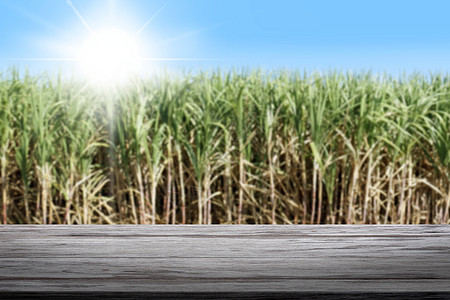 甘蔗背景和木板 甘蔗和木板背景 板条木质地板板桌在种植园甘蔗树农场背景上空空如也 阳光照耀在天蓝色上图片