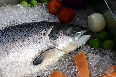 鲑鱼 鲑鱼 在冰盘上大量新鲜生鲜海鲜动物荒野撒拉食物美食销售鳟鱼烹饪营养图片