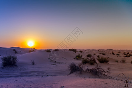 蓝色天空的沙漠沙地布局 Dunes 背景图片