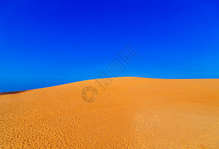 蓝天空的沙漠风景 沙丘田地令人惊叹图片