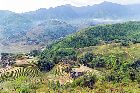 在梯田山区农场地貌上的稻田爬坡热带文化村庄旅行场地叶子环境谷物种植园图片