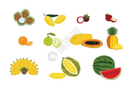 各种水果白色背景 一套五颜六色的水果矢量分离图片