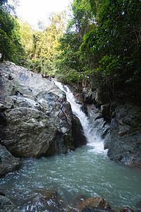 萨穆伊岛丛林中的热带秘密瀑布风景游客异国流动溪流森林公园荒野天堂假期图片