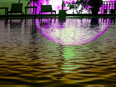游泳池上反射的超紫色月亮环影植物图片