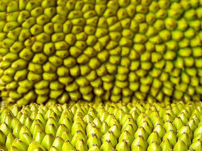 Jackfruit 刺表面模糊纹理背景图片