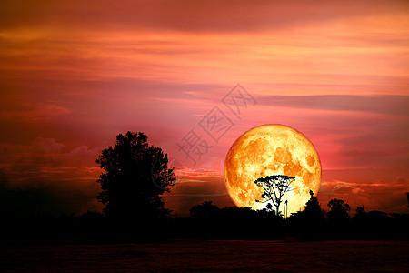 月圆满血月 在北边的田地上宗教植物阴影橙子月光海狸科学宇宙行星望远镜图片