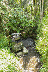 Pakerisan 山谷的河床 有狂野的水和大石头 在坦巴西林的一个殡仪馆 水流从河床上的岩石上滚过 巴厘岛 印度尼西亚 热带植图片