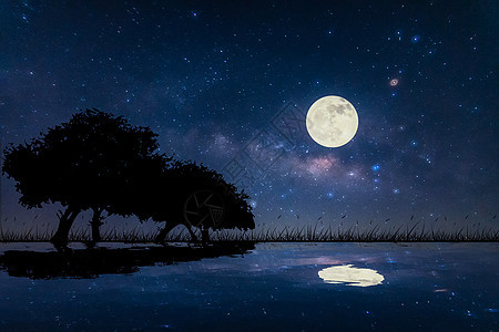 自然景色 夜里天空和树丛图片