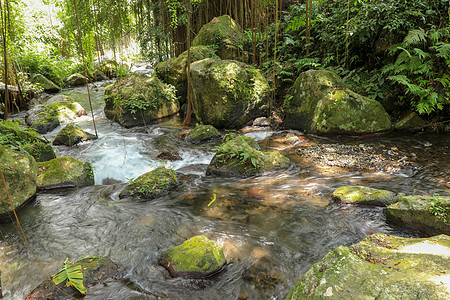 Pakerisan 山谷的河床 有狂野的水和大石头 在坦巴西林的一个殡仪馆 水流从河床上的岩石上滚过 巴厘岛 印度尼西亚 热带植图片