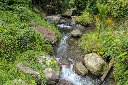 Pakerisan 山谷的河床 有狂野的水和大石头 在坦巴西林的一个殡仪馆 水流从河床上的岩石上滚过 巴厘岛 印度尼西亚 热带植图片