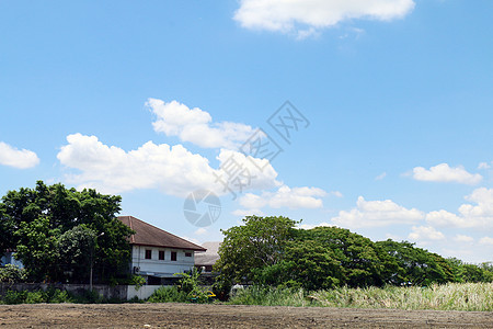 蓝天景观地产村 图景底部的房屋和树林(蓝色天空)图片