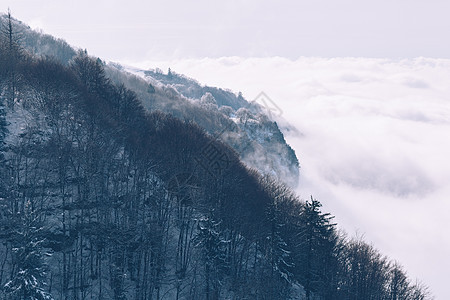 山雾顶峰多云薄雾季节森林天线鸟瞰图风景全景山脉图片