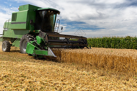 集成收割农机 收获黄金成熟的WHE收成农业农村生产机器食物工作种子土地粮食图片