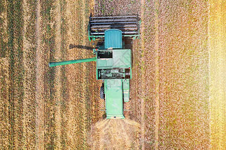 从顶部视图采集小麦田的收割器玉米机器国家食物土地种子场景收割机农业粮食图片