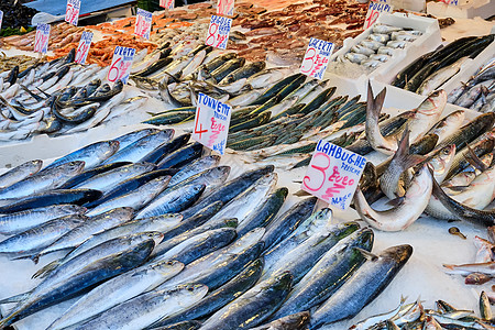 赤棕鱼片供销售的新鲜鱼和海鲜贝类鲭鱼鱿鱼鱼片食物海洋乌贼渔业小龙虾营养背景