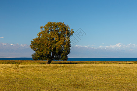 伊塞克湖(Issyk-kul)图片