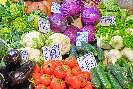 不同种类的蔬菜生产青菜维生素沙拉食物草药牧草茄子营养菜花图片
