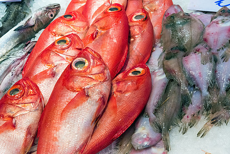 红丁香和其他出售的鱼海鲜皇帝海洋渔业美食盐水销售钓鱼饮食鳕鱼图片
