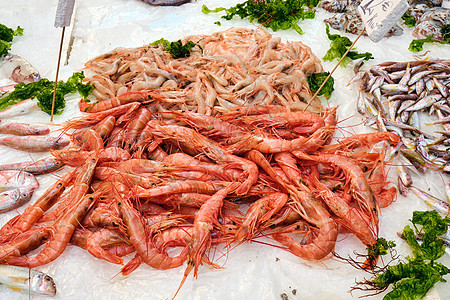 出售的新鲜虾美食小吃对虾贝壳螃蟹鱿鱼甲壳海鲜茶点市场图片